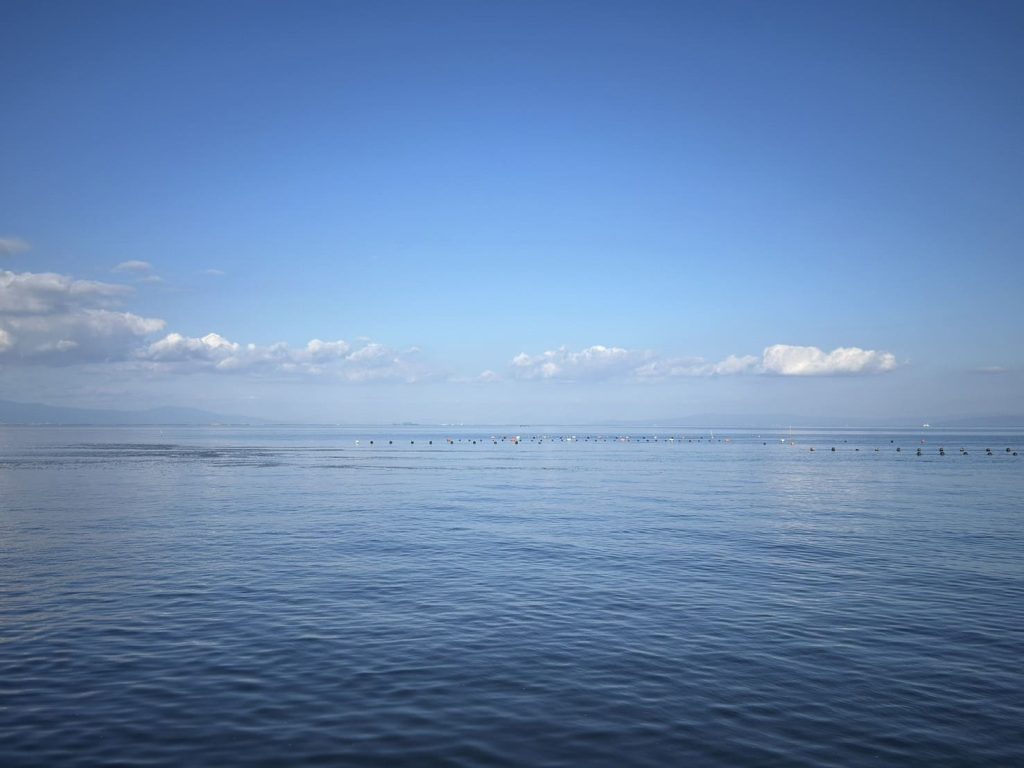 佐賀県鹿島市 スミノエガキ