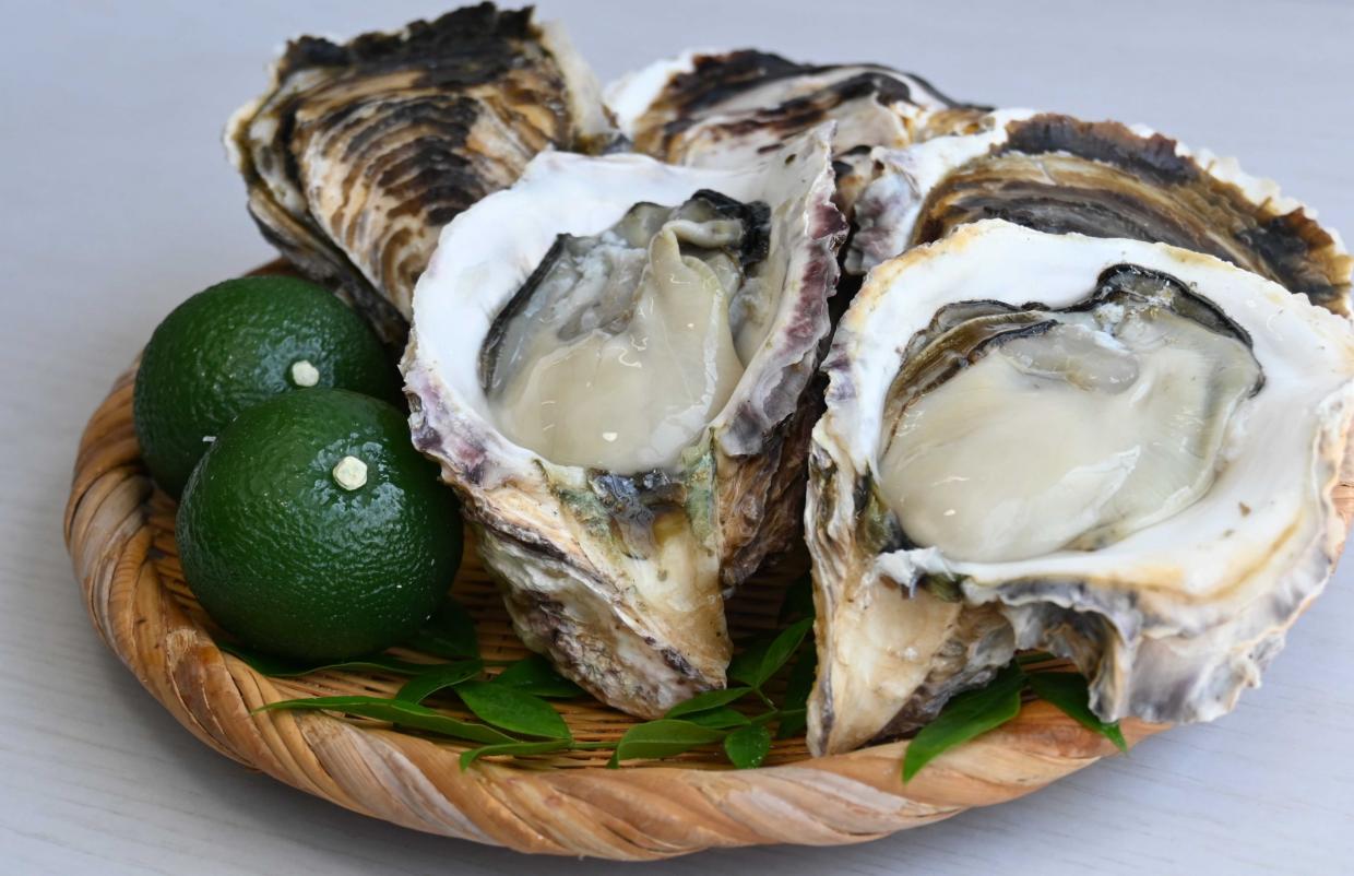 細島天照岩牡蠣